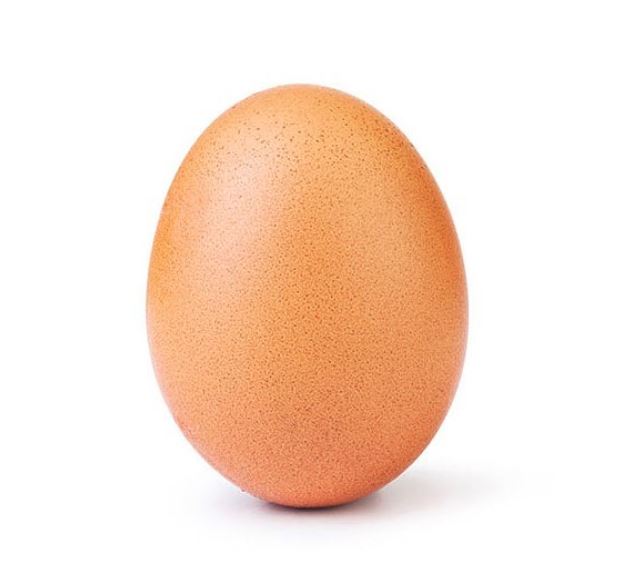 Social media amazes me:  The power of the&nbsp;Egg