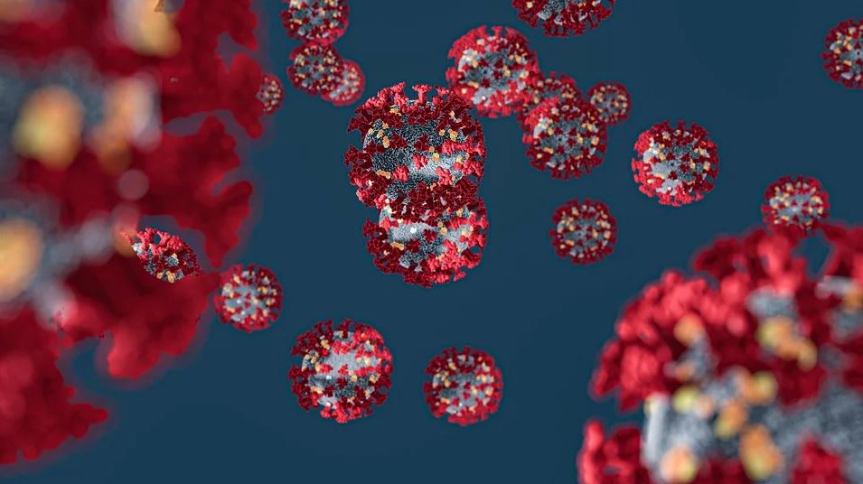 Changing Consumption Habits During the Coronavirus&nbsp;Pandemic